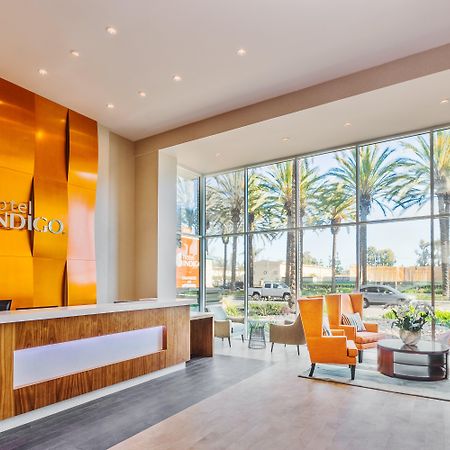 Hotel Indigo Anaheim By Ihg Zewnętrze zdjęcie