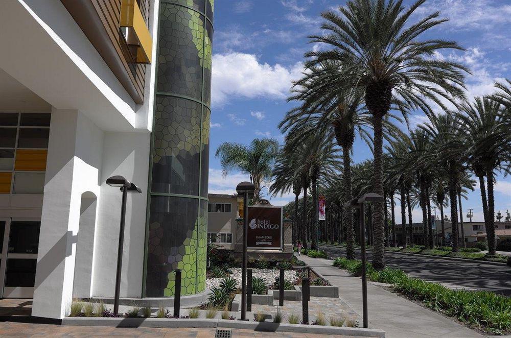 Hotel Indigo Anaheim By Ihg Zewnętrze zdjęcie