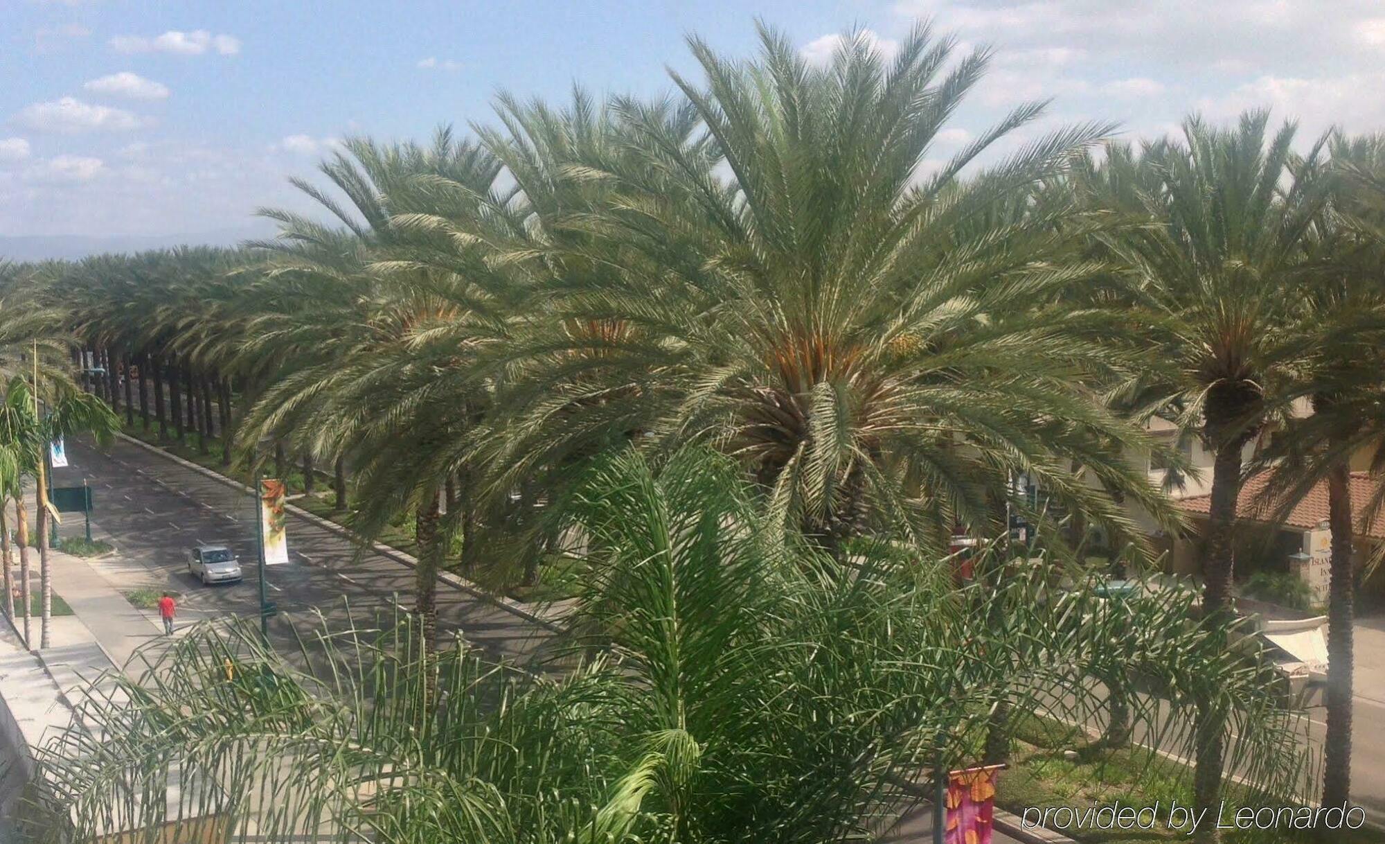 Hotel Indigo Anaheim By Ihg Zewnętrze zdjęcie