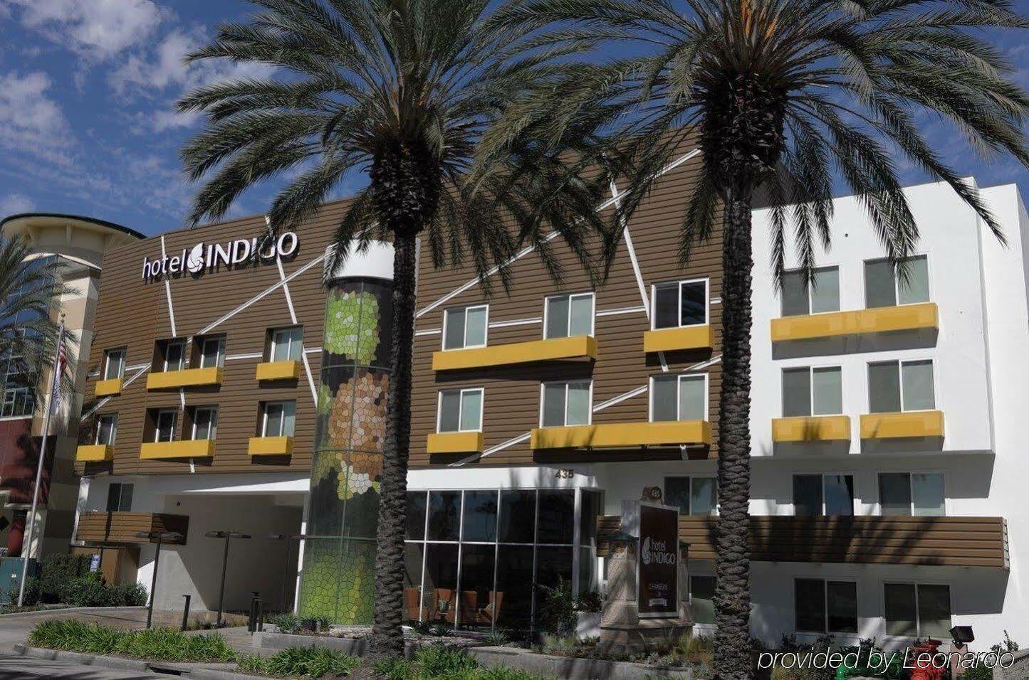 Hotel Indigo Anaheim By Ihg Zewnętrze zdjęcie